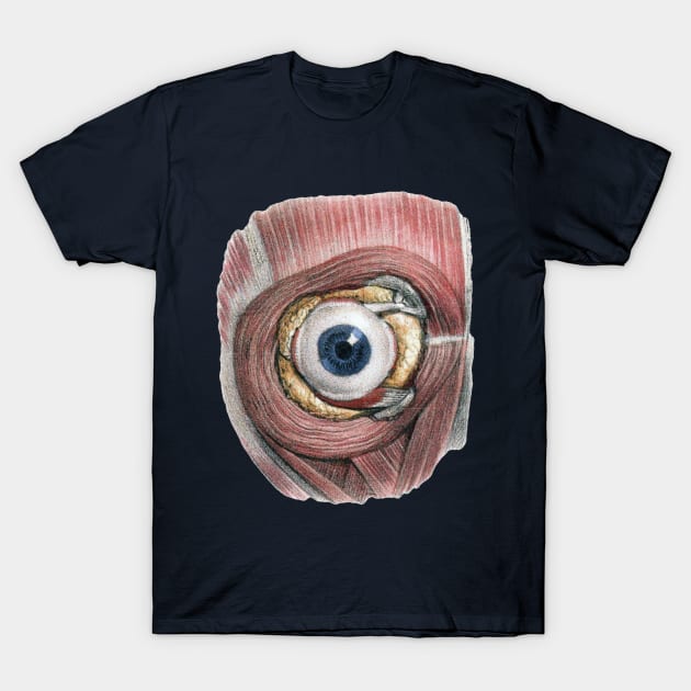 Vintage Human Anatomy Eyeball T-Shirt by MasterpieceCafe